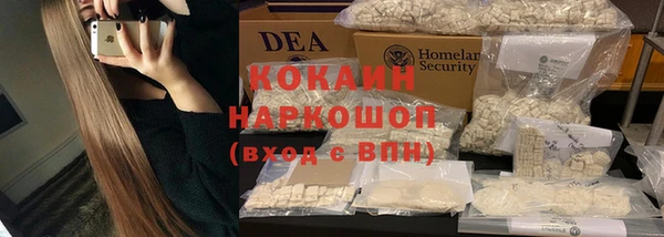 гидропоника Богданович
