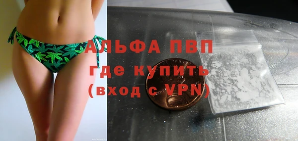 ПСИЛОЦИБИНОВЫЕ ГРИБЫ Богородицк