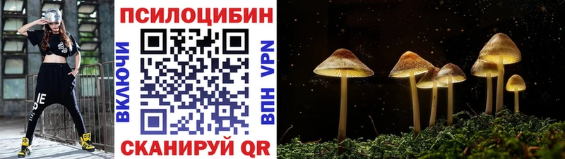 магазин продажи наркотиков  Дигора  площадка какой сайт  Псилоцибиновые грибы Cubensis 